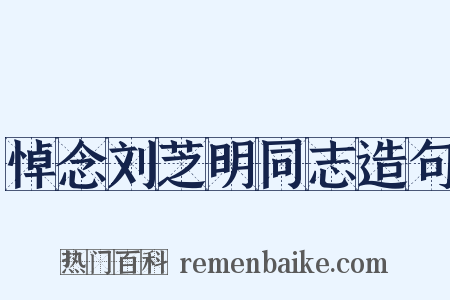 悼念刘芝明同志造句是什么意思的图片
